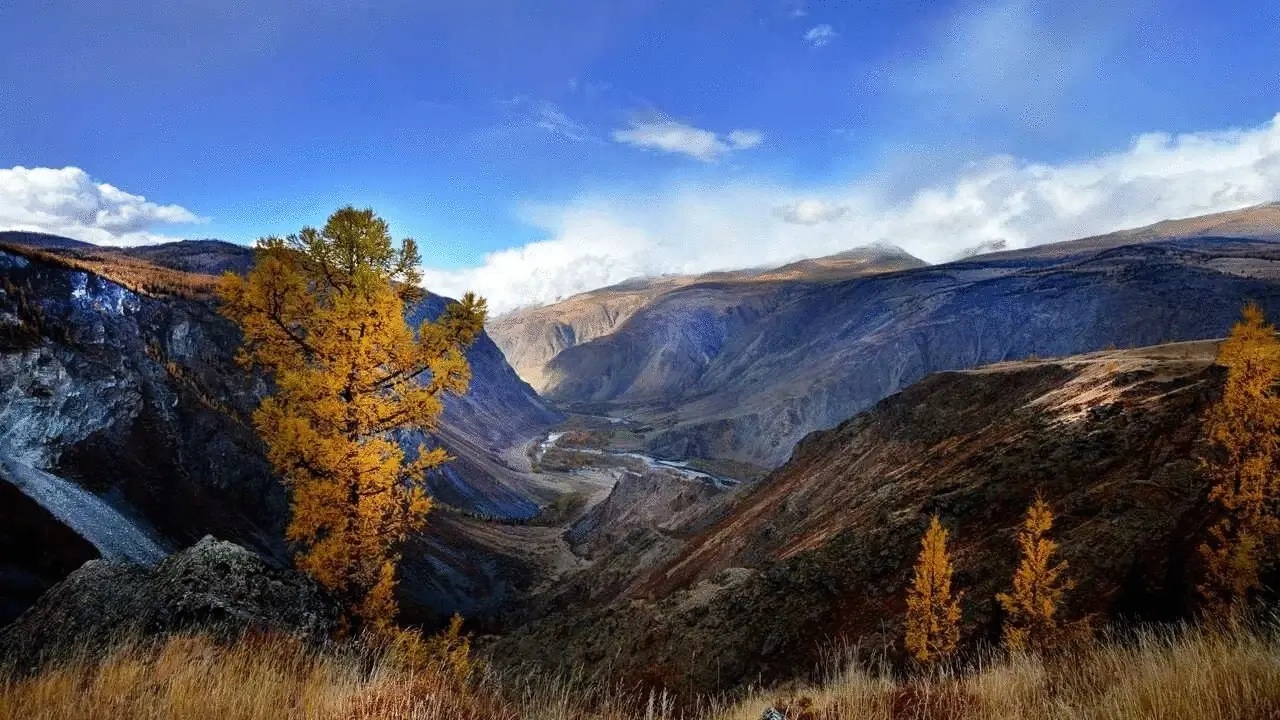 Силагор - фото 24