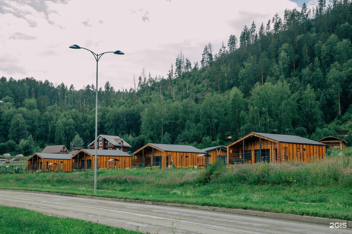 Veresk Altai - фото 52