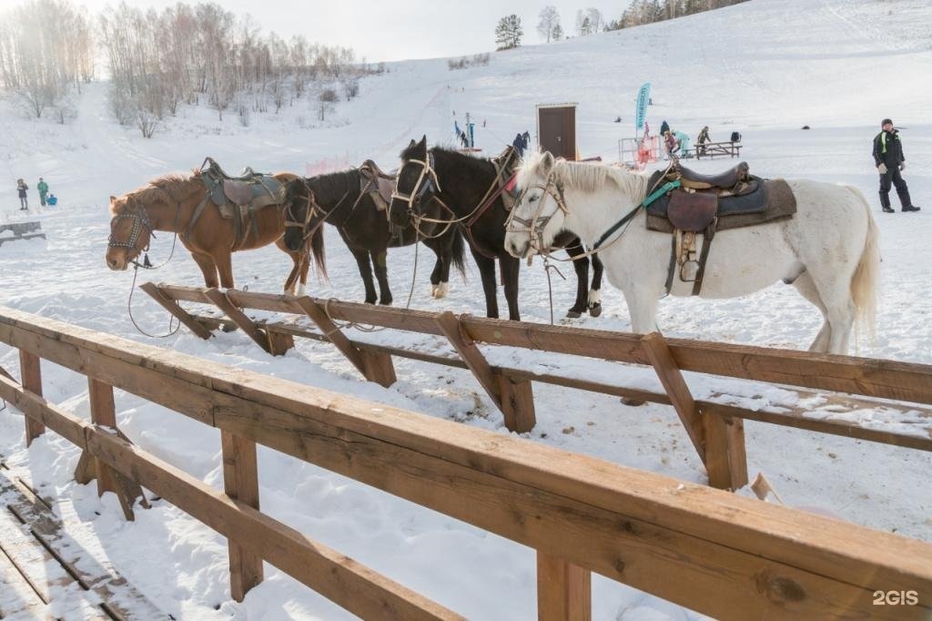 Veresk Altai - фото 80