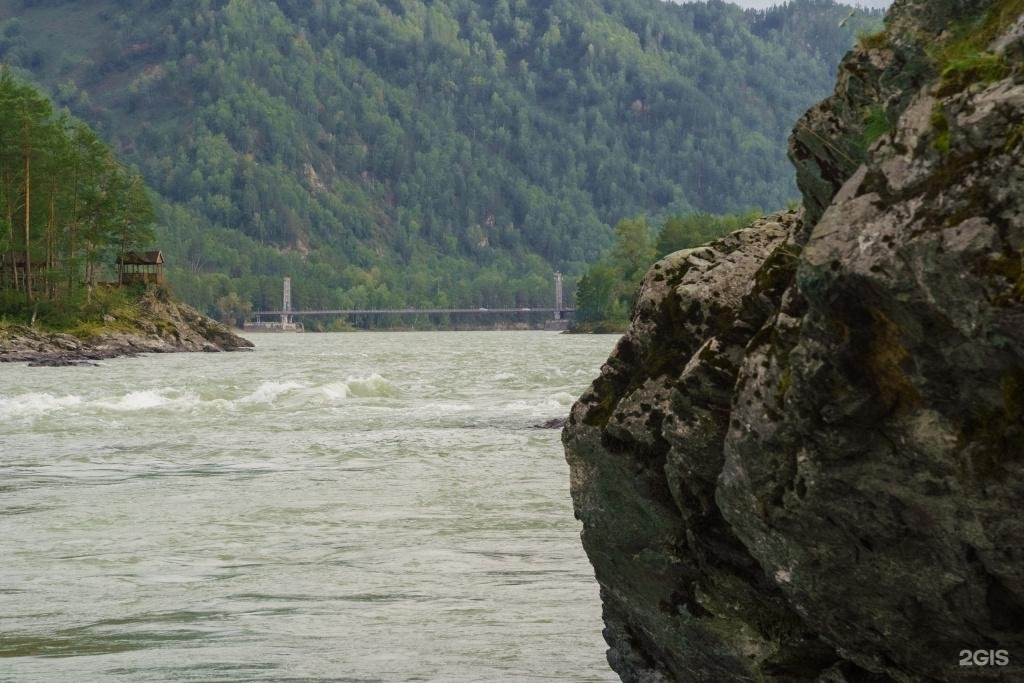 Veresk Altai - фото 85