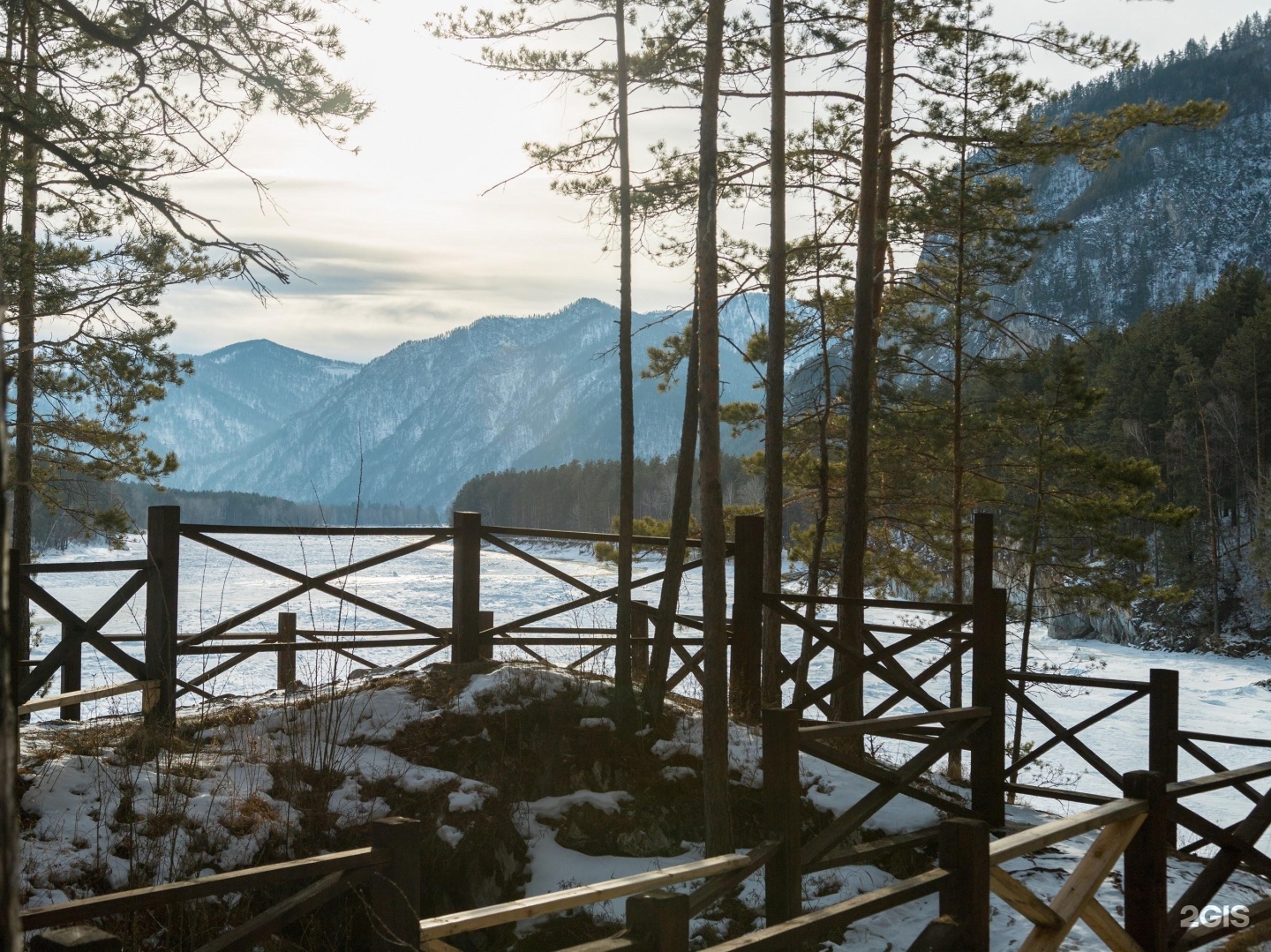 Veresk Altai - фото 87