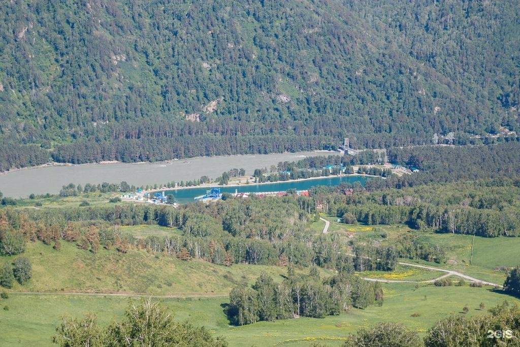 Veresk Altai - фото 108