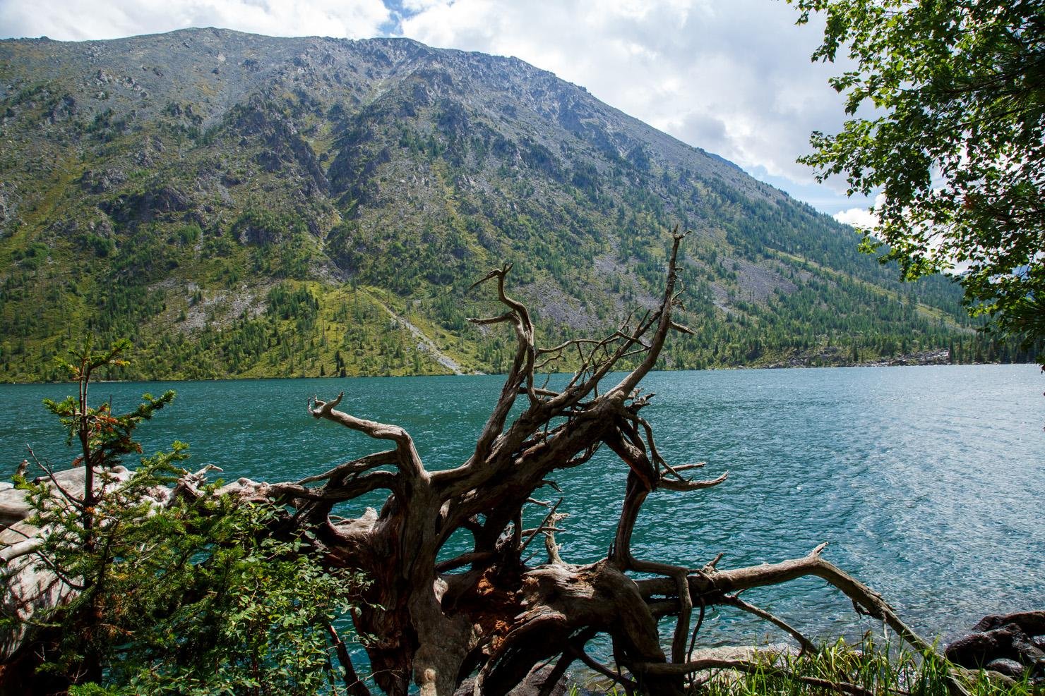 Огонёк - фото 3