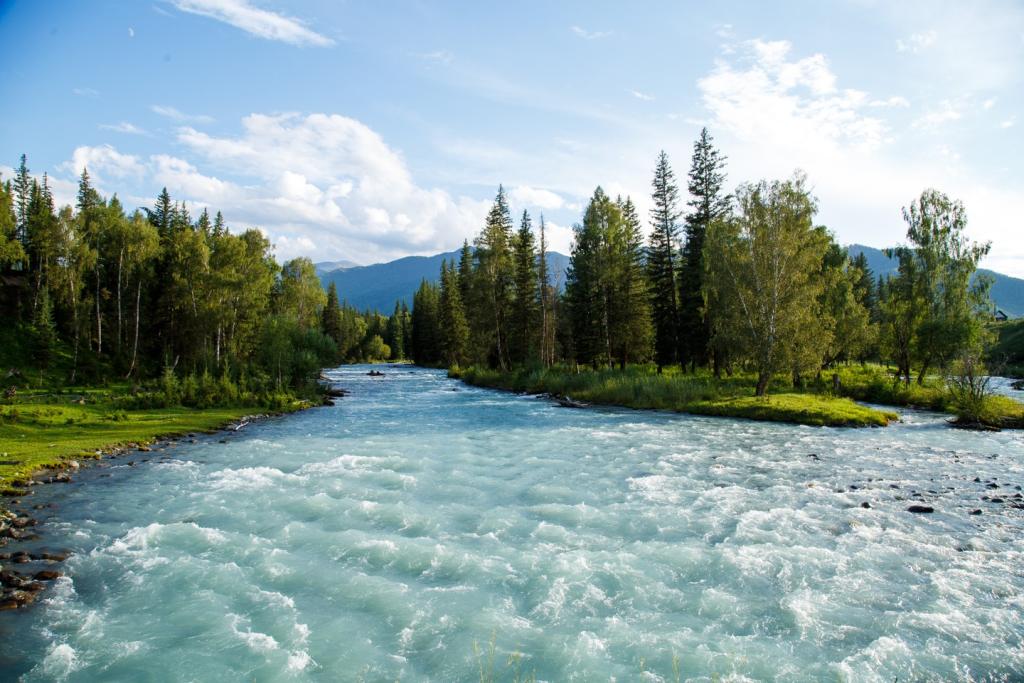 Огонёк - фото 5