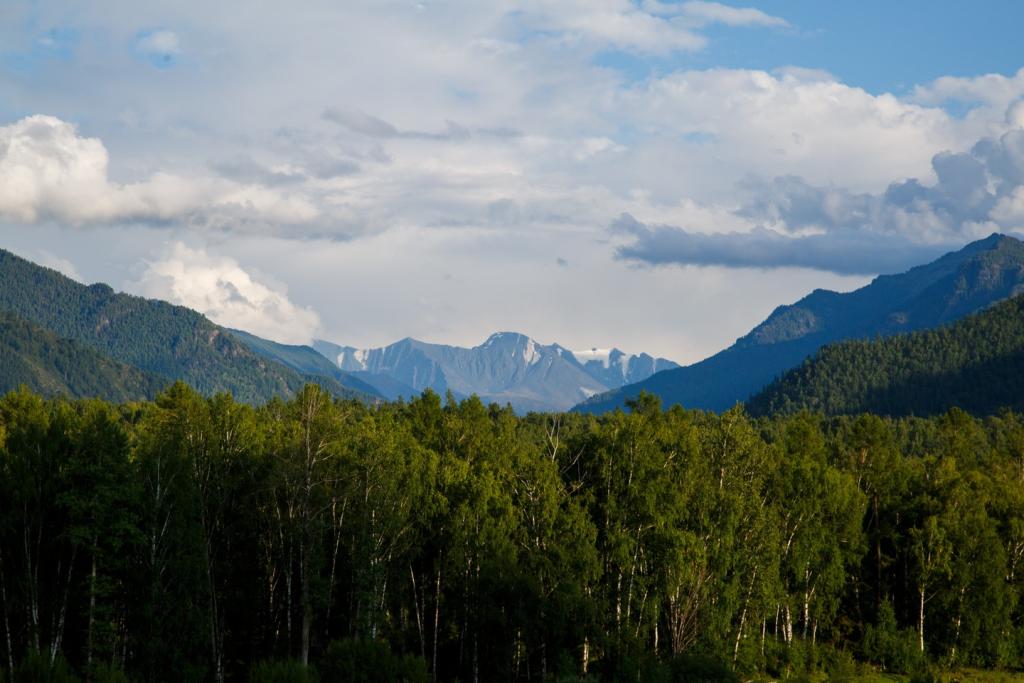 Огонёк - фото 7