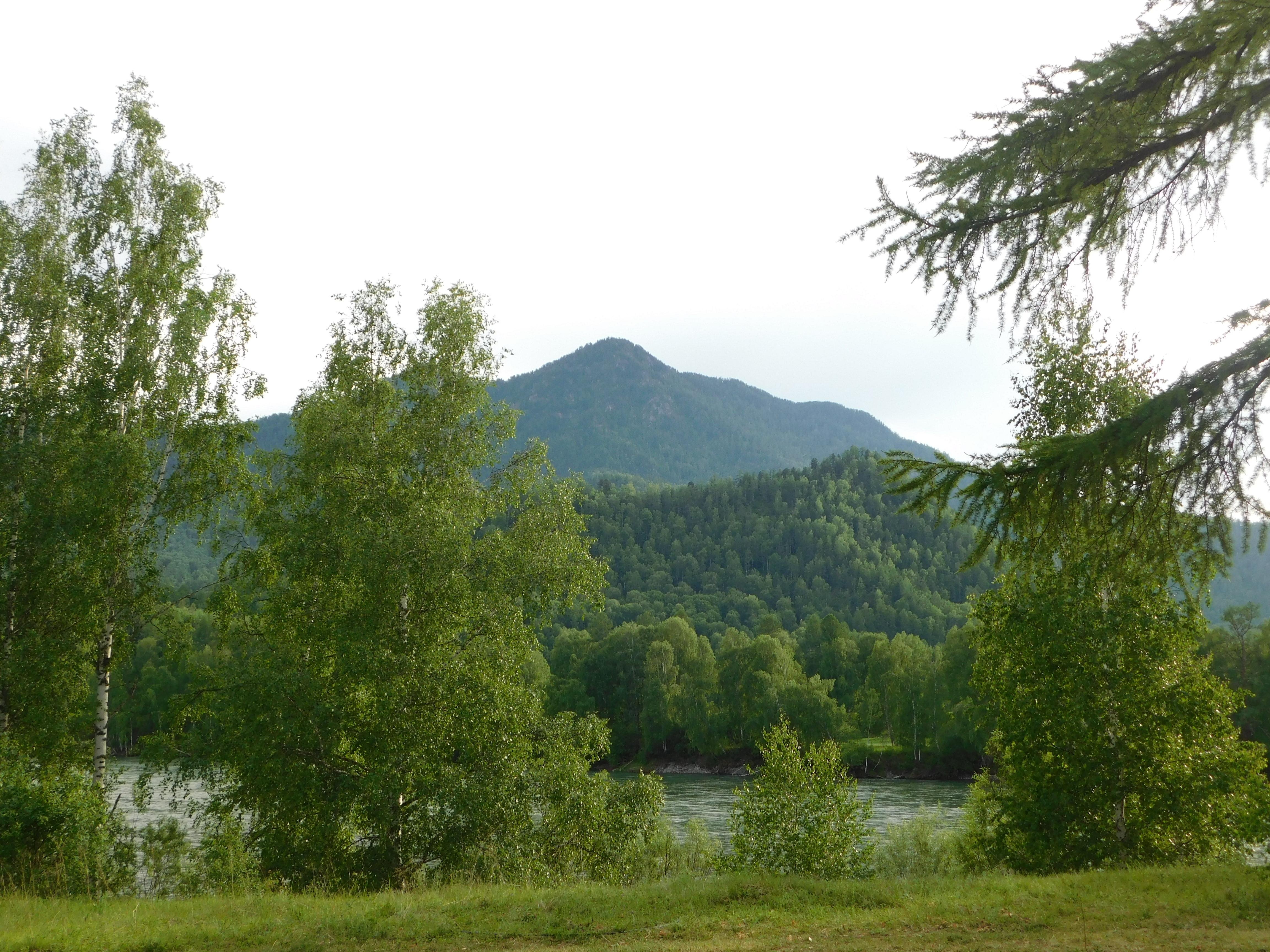 Огонёк - фото 10