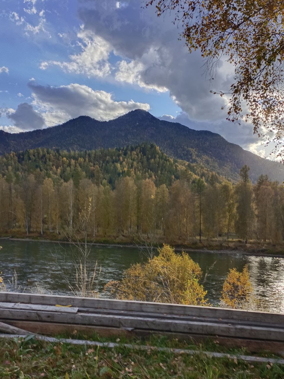 Огонёк - фото 11