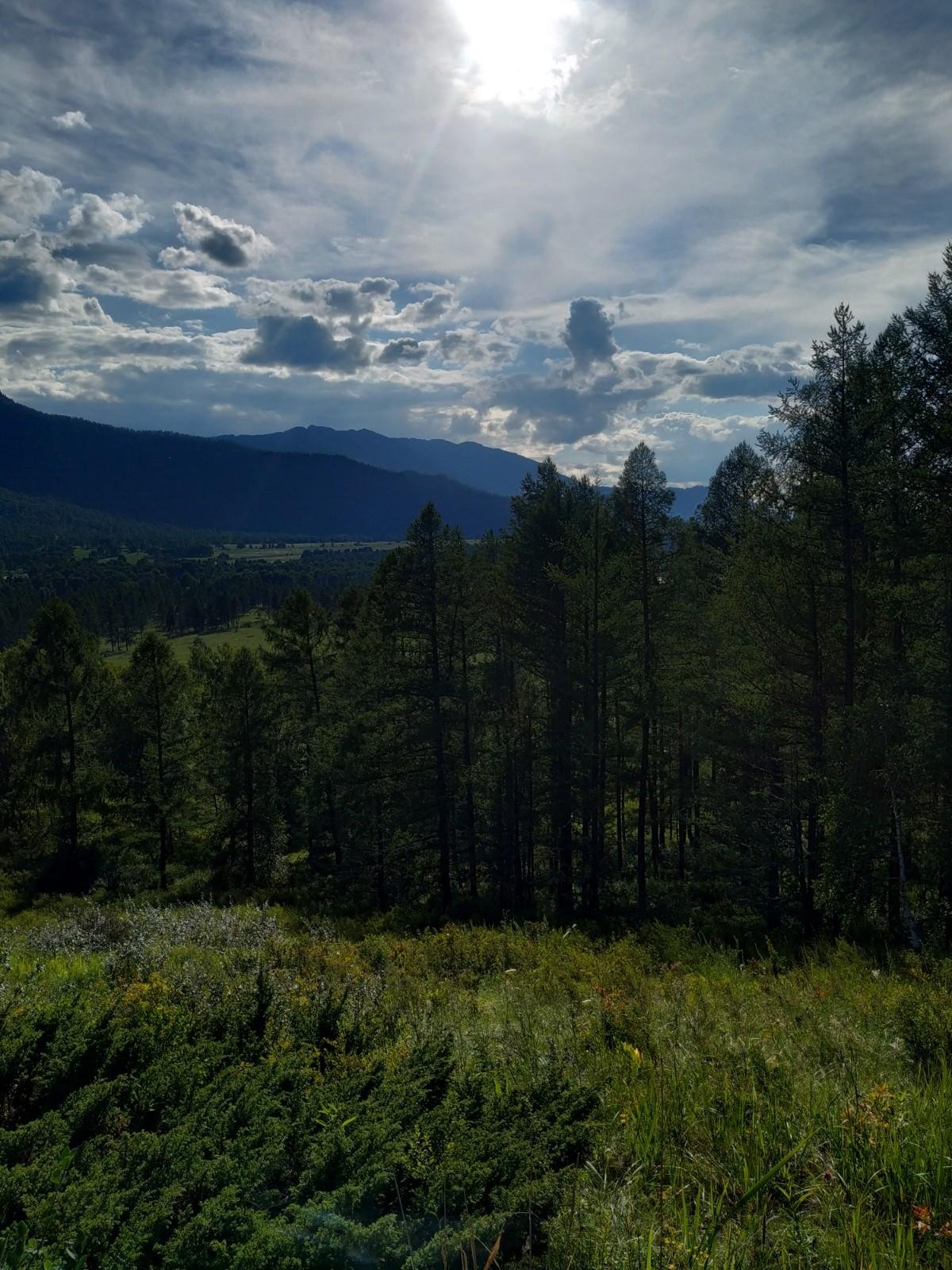 Огонёк - фото 13