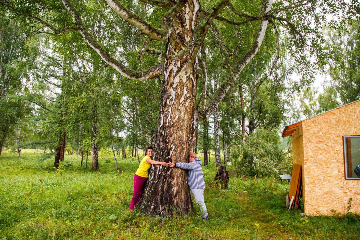 Огонёк - фото 17