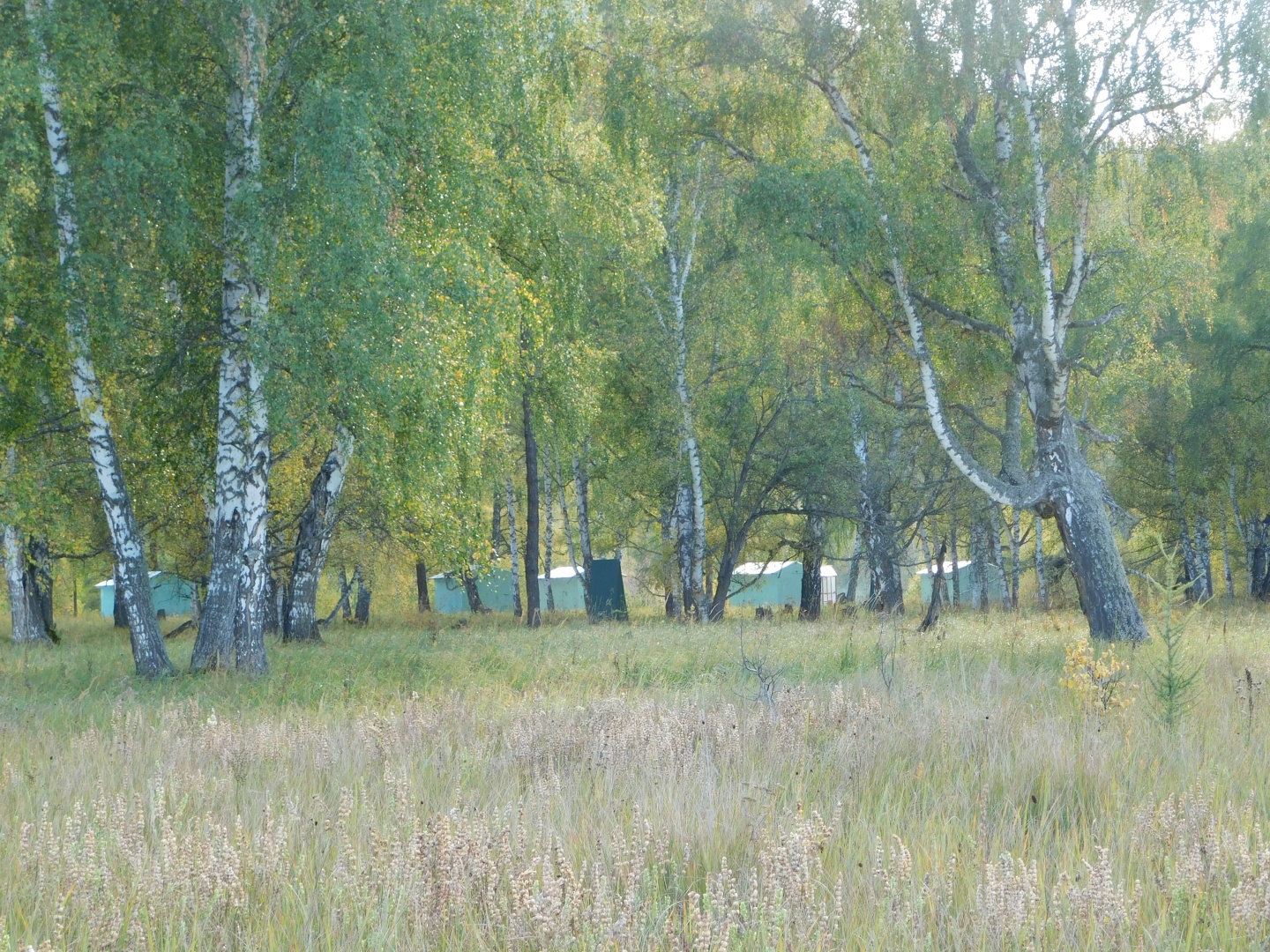 Огонёк - фото 41