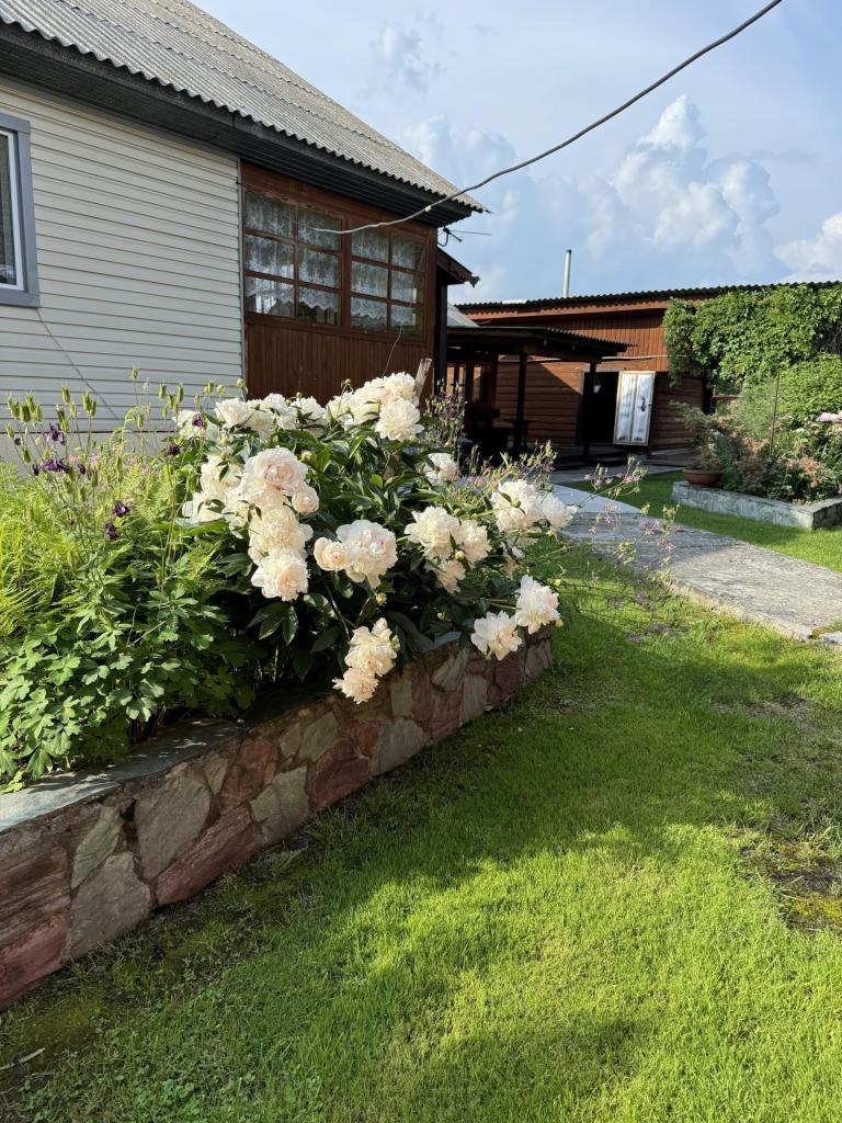 Тайга Древо - фото 5