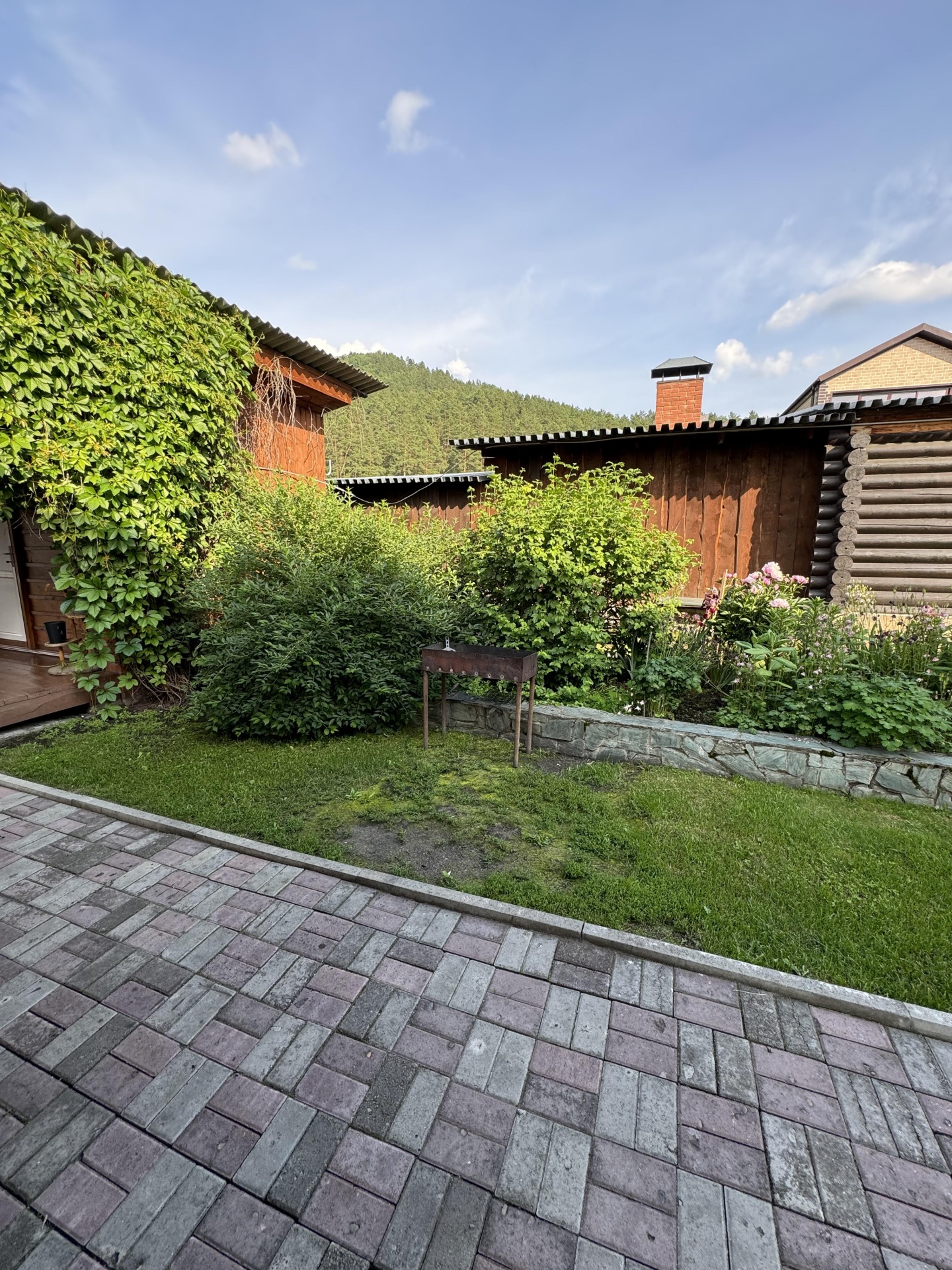 Тайга Древо - фото 7