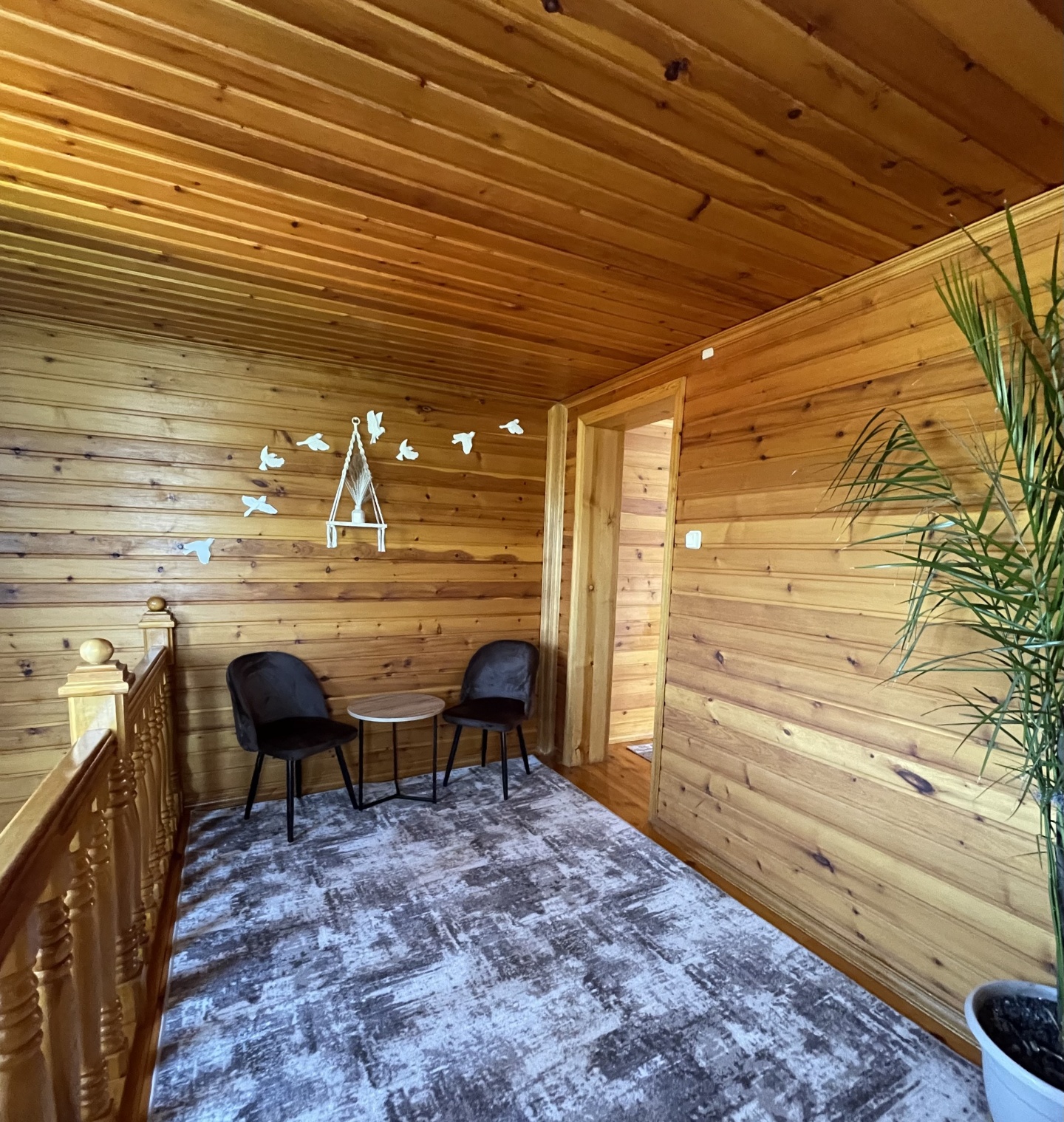 Тайга Древо - фото 8