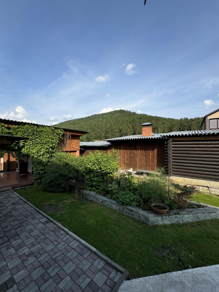 Тайга Древо - фото 9