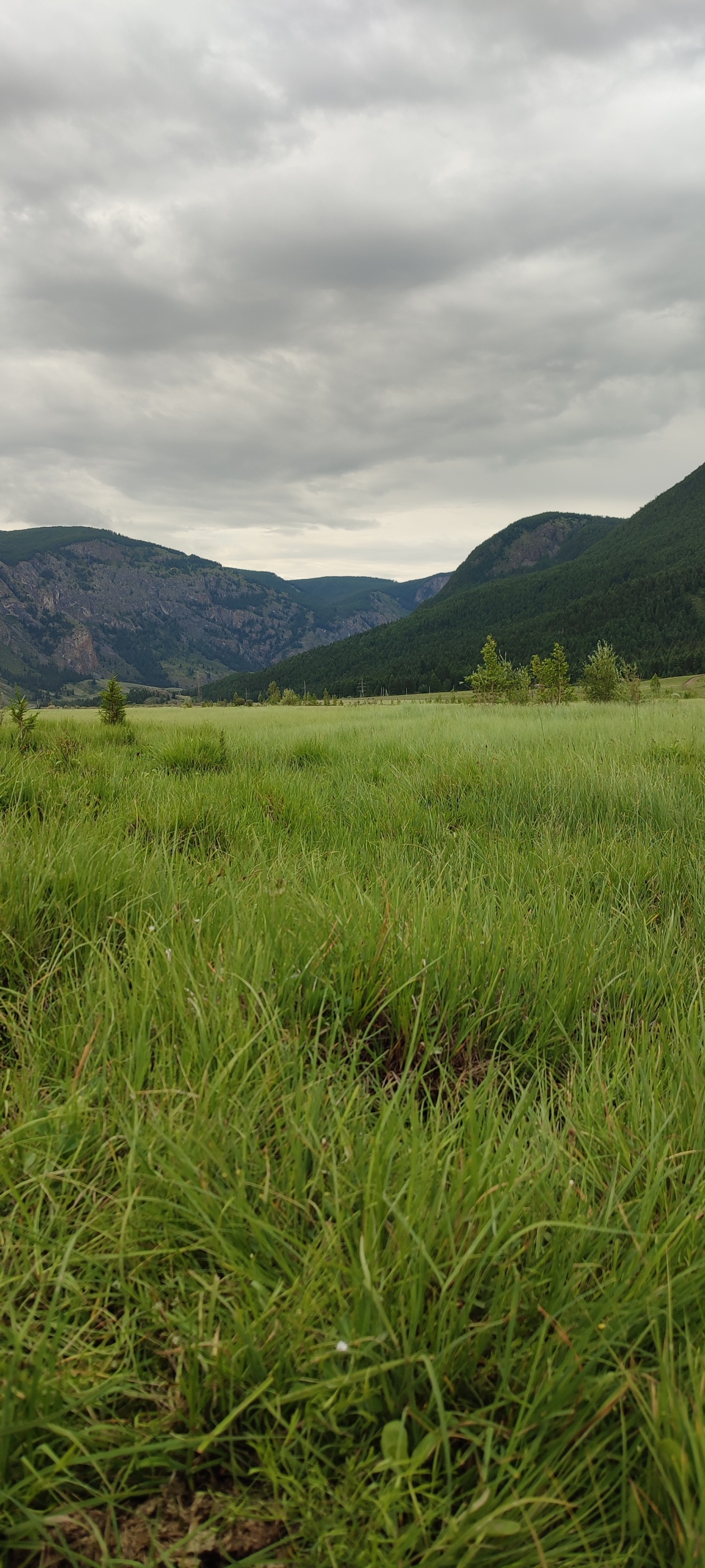 В горах Алтая - фото 32