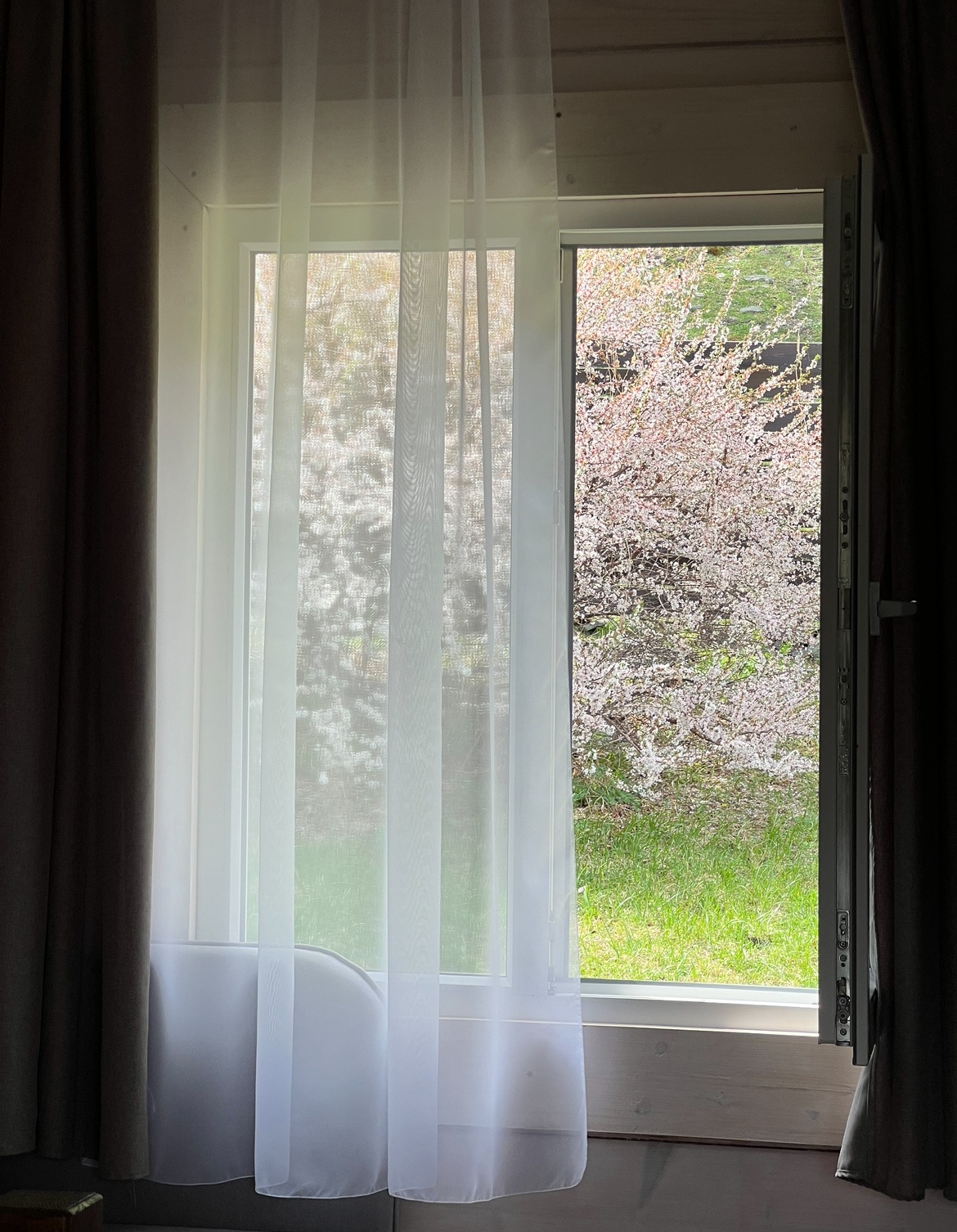 Пригорье Аюла - фото 21