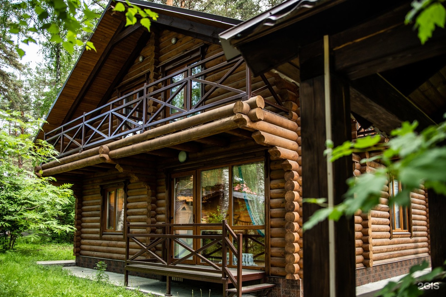 Сосна - фото 3