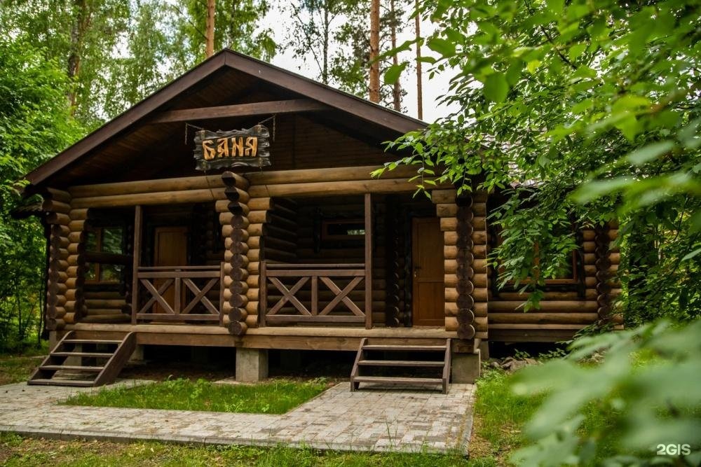 Сосна - фото 4