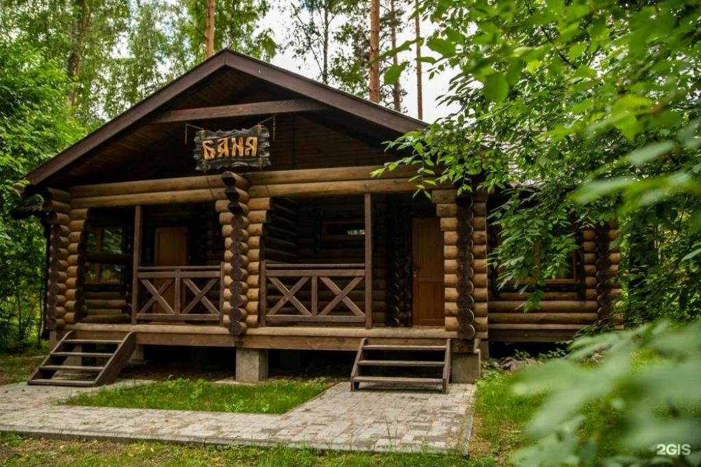 Сосна - фото 4