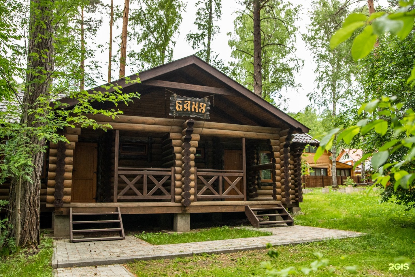 Сосна - фото 8