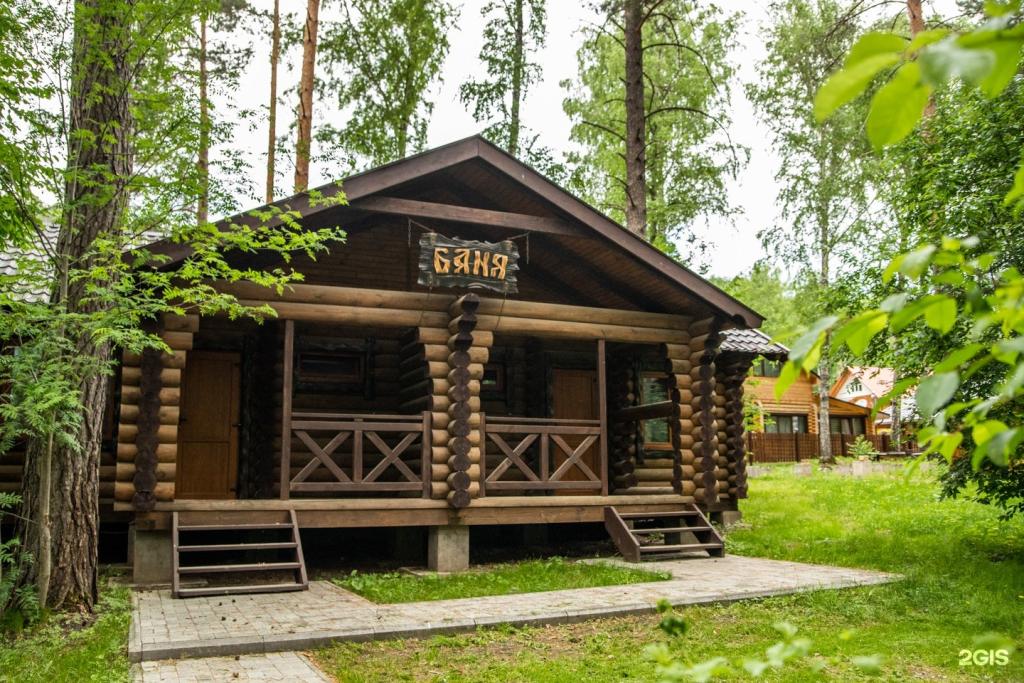 Сосна - фото 8