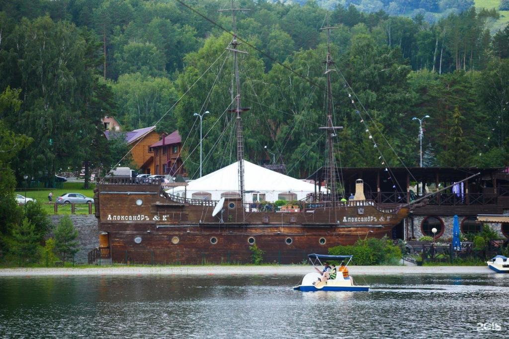 Сосна - фото 9