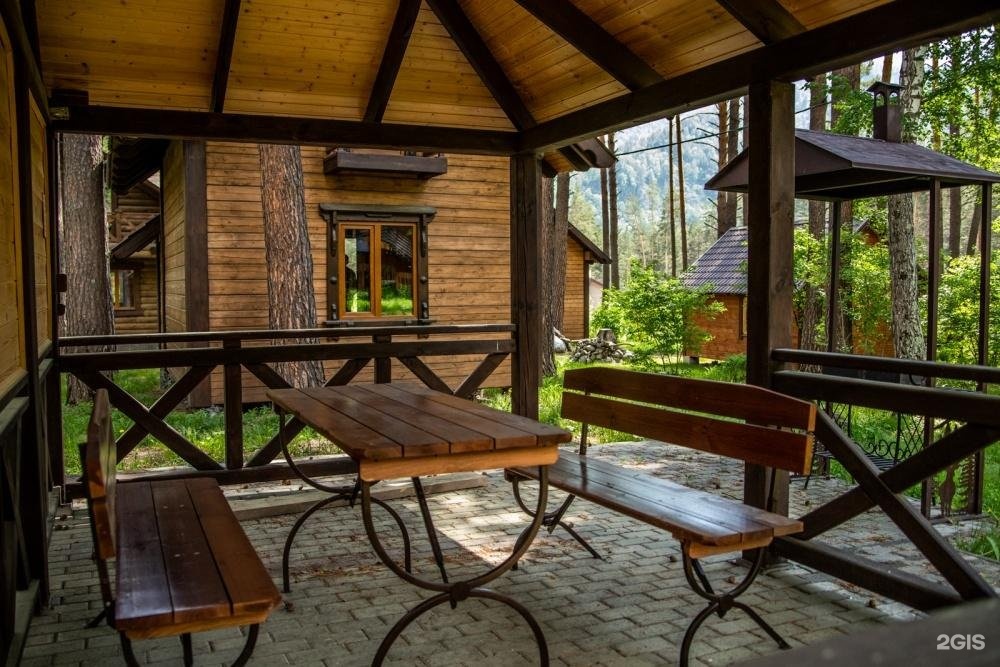 Сосна - фото 12