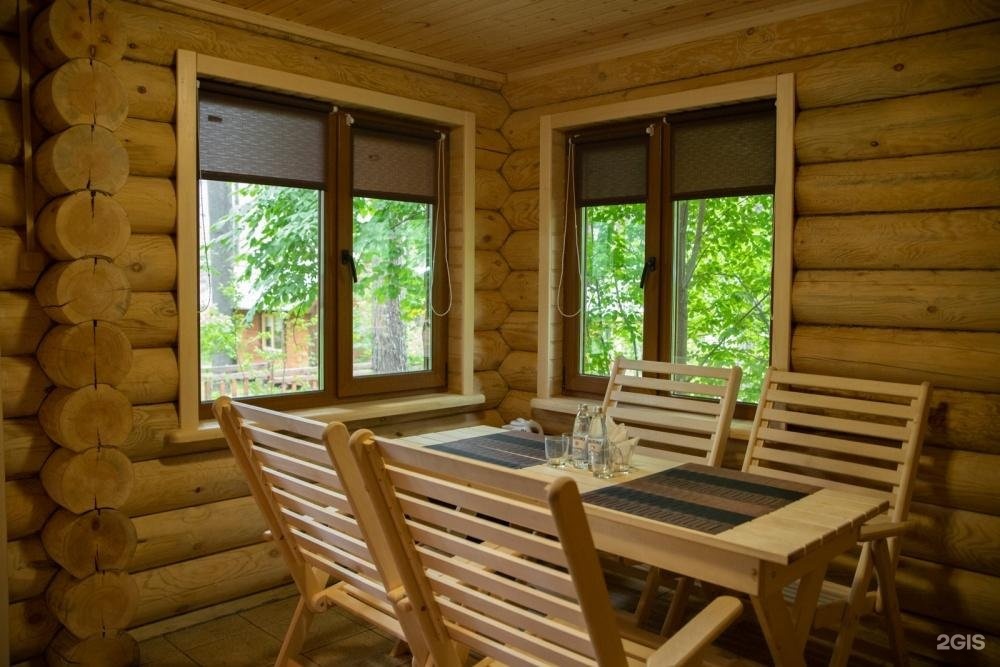 Сосна - фото 17