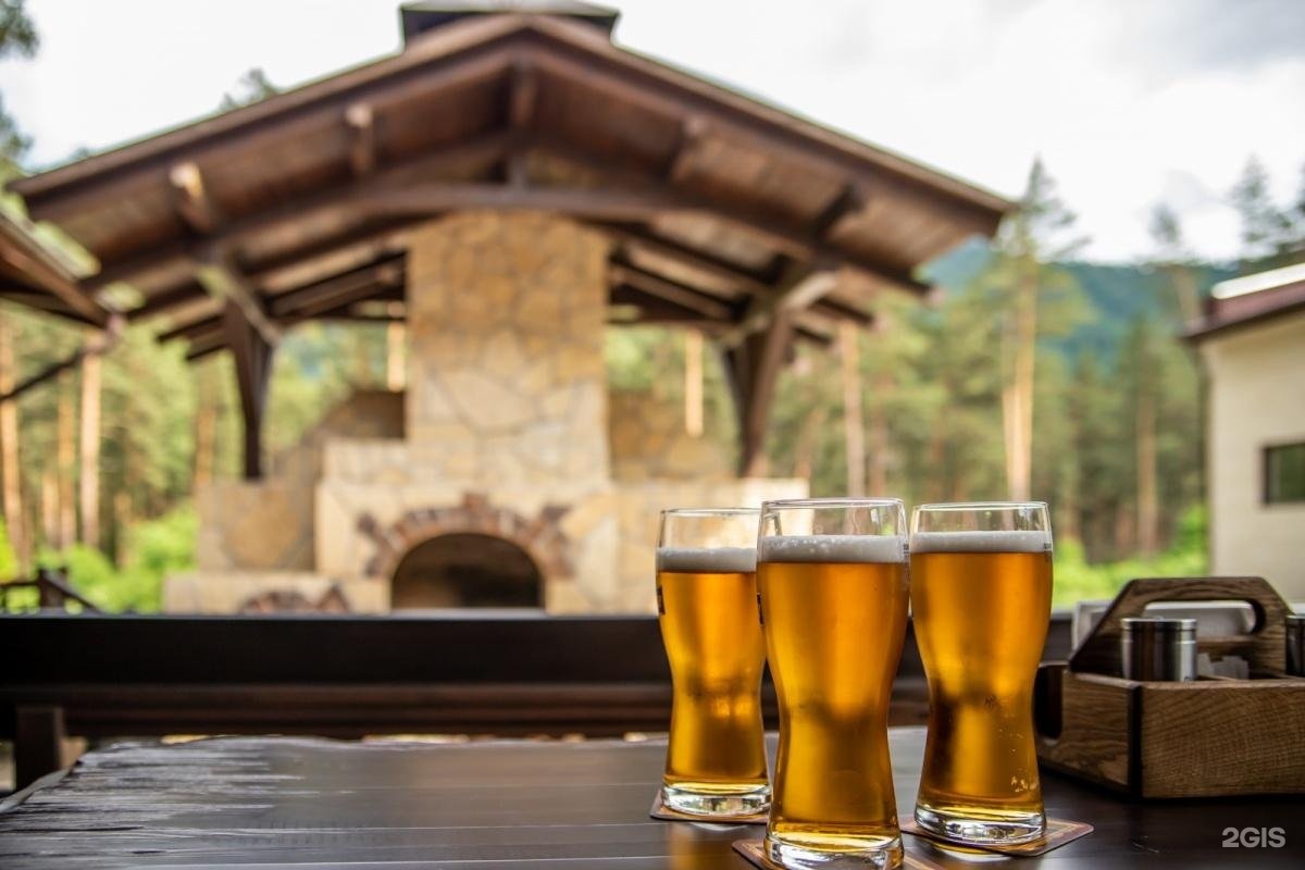 Сосна - фото 21