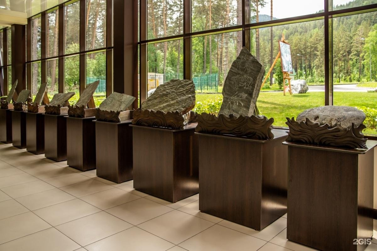 Сосна - фото 22