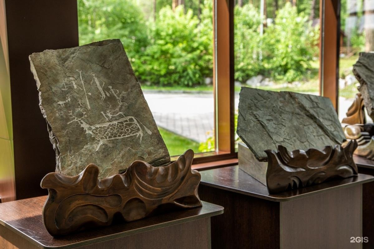 Сосна - фото 23