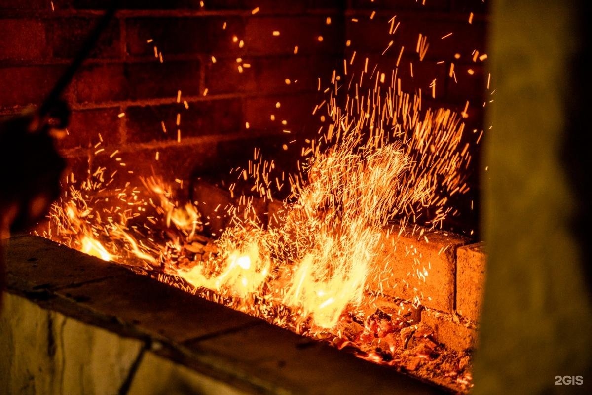 Сосна - фото 29