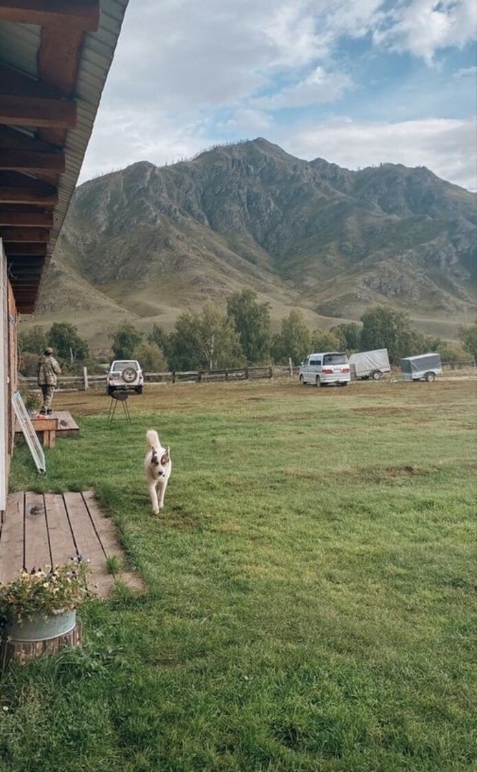 Ромашка - фото 16