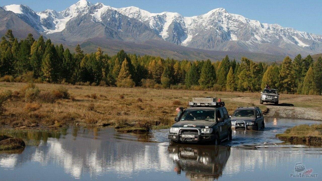 Белуха - фото 34