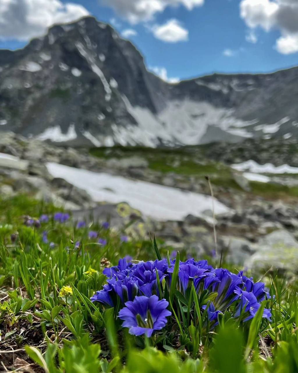 Счастье в горах - фото 30