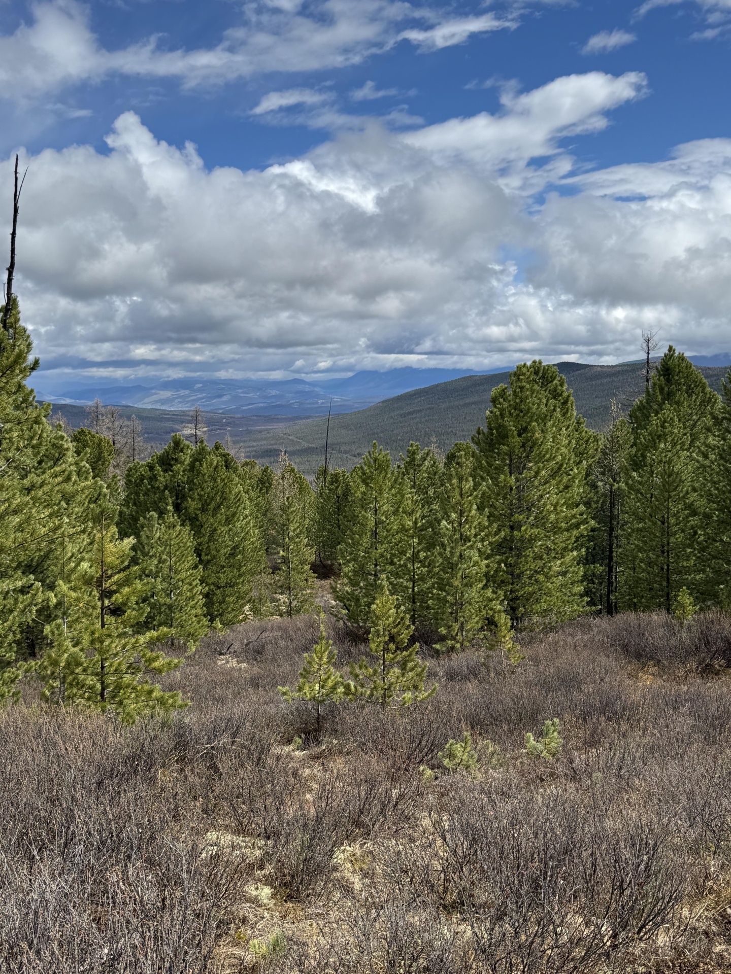 Счастье в горах - фото 40