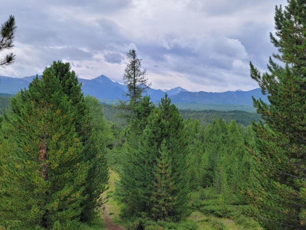 Улаганский перевал - фото 5