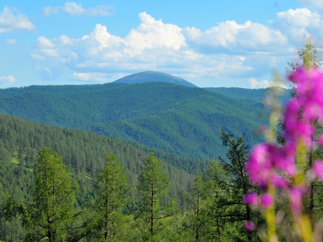 Ябоганский перевал - фото 1