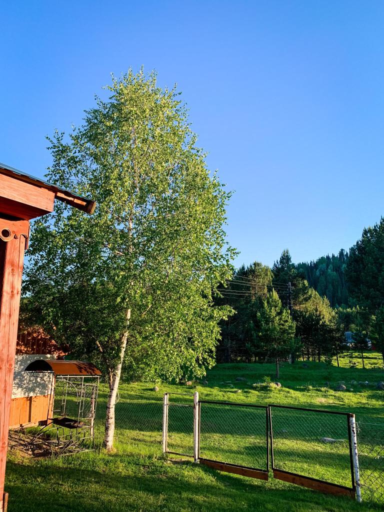 Зеленый домик - фото 10