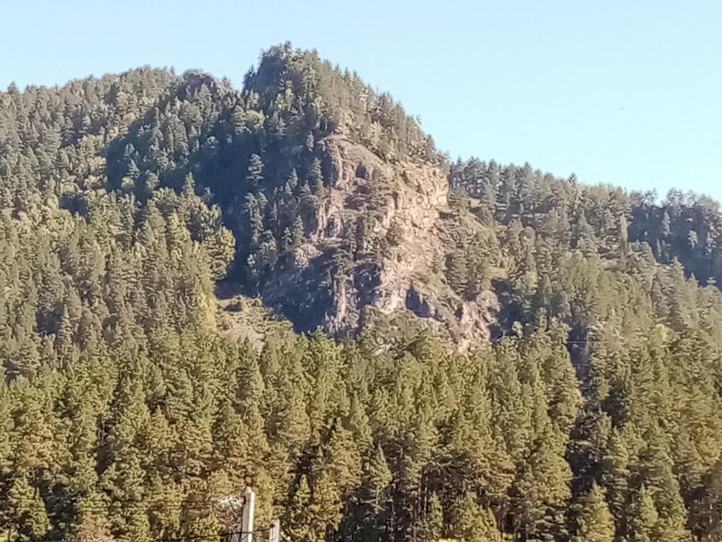 Берингия - фото 10