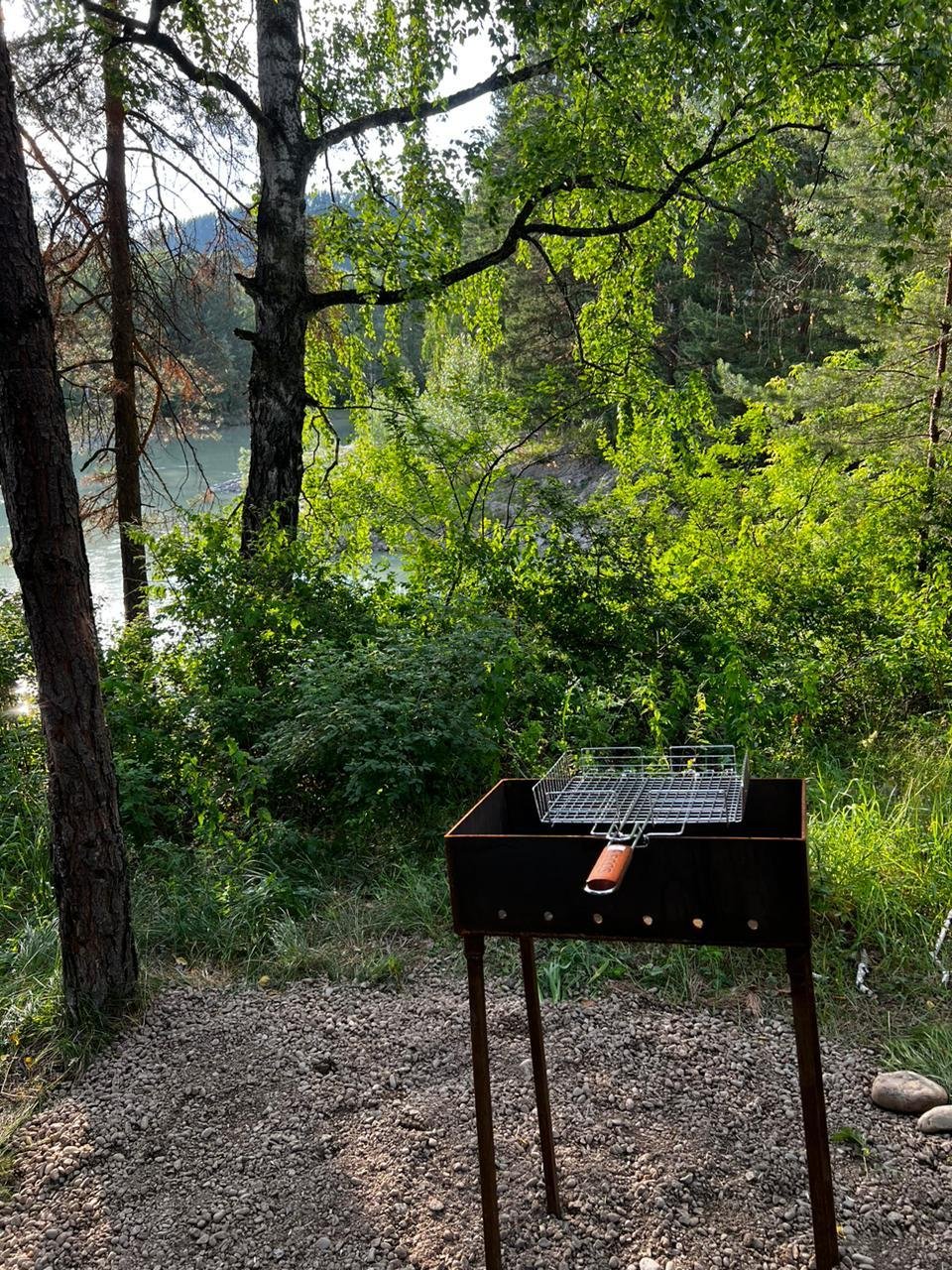 Ёлки Иголки - фото 13