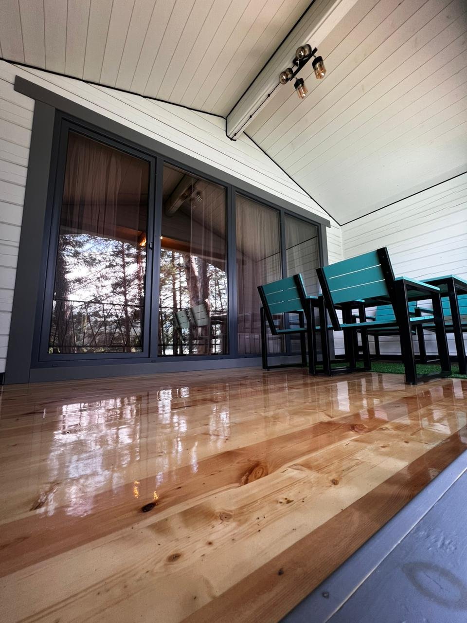 Ёлки Иголки - фото 22