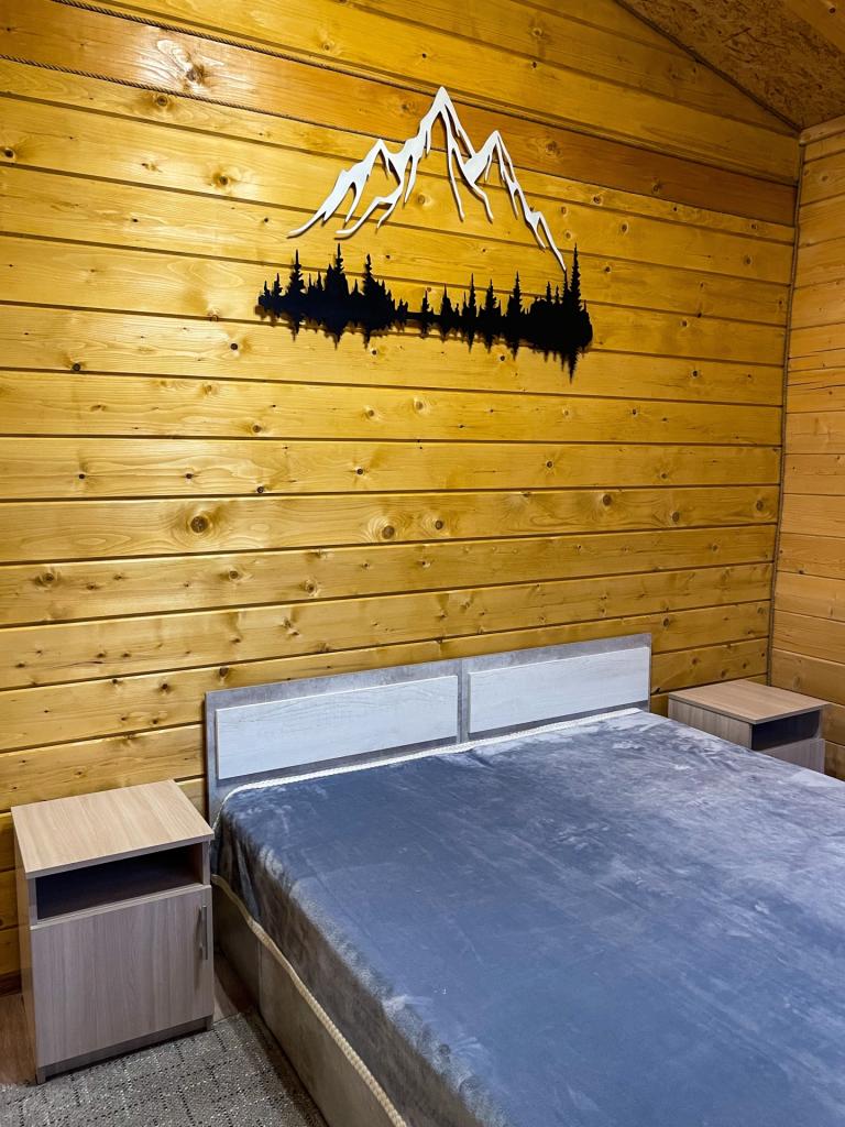 Мишель Шале - фото 10