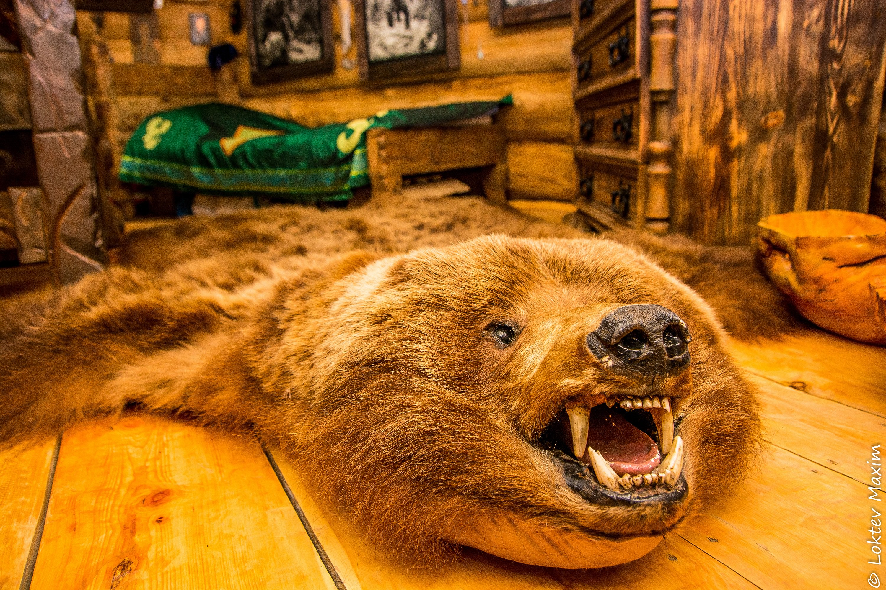 Этнопарк Зелёный остров - фото 101