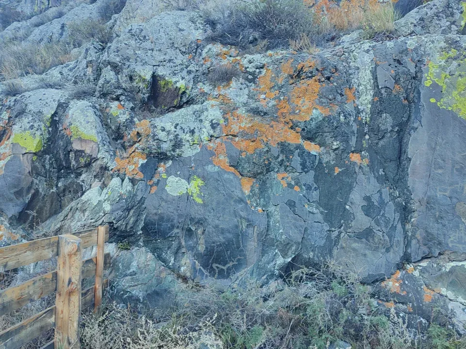 Петроглифы грота Куюс - фото 1