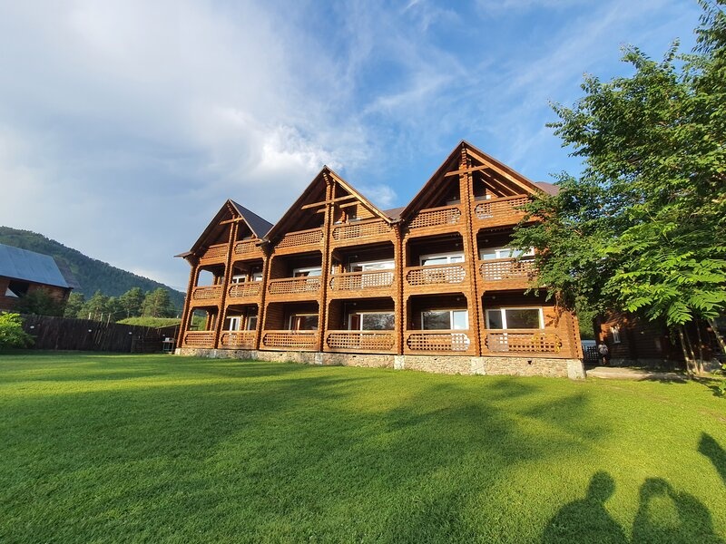 Феникс - фото 1