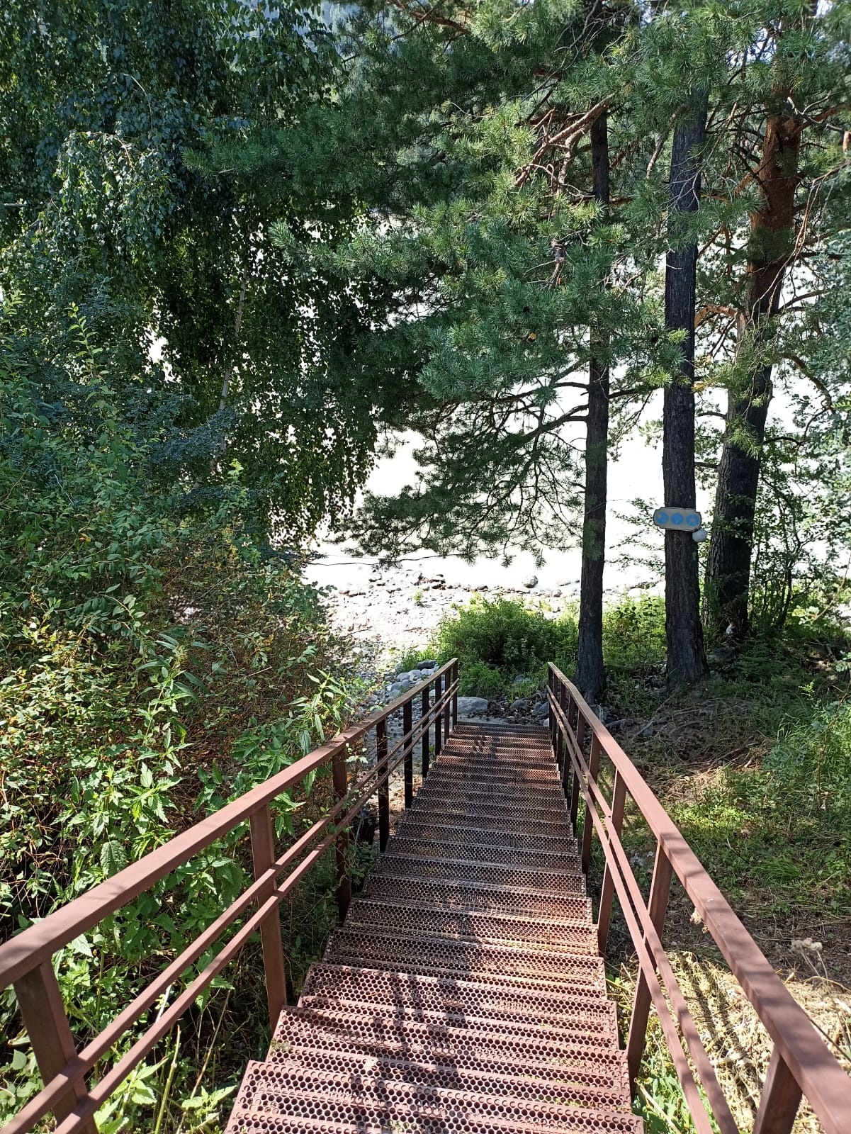 Феникс - фото 3