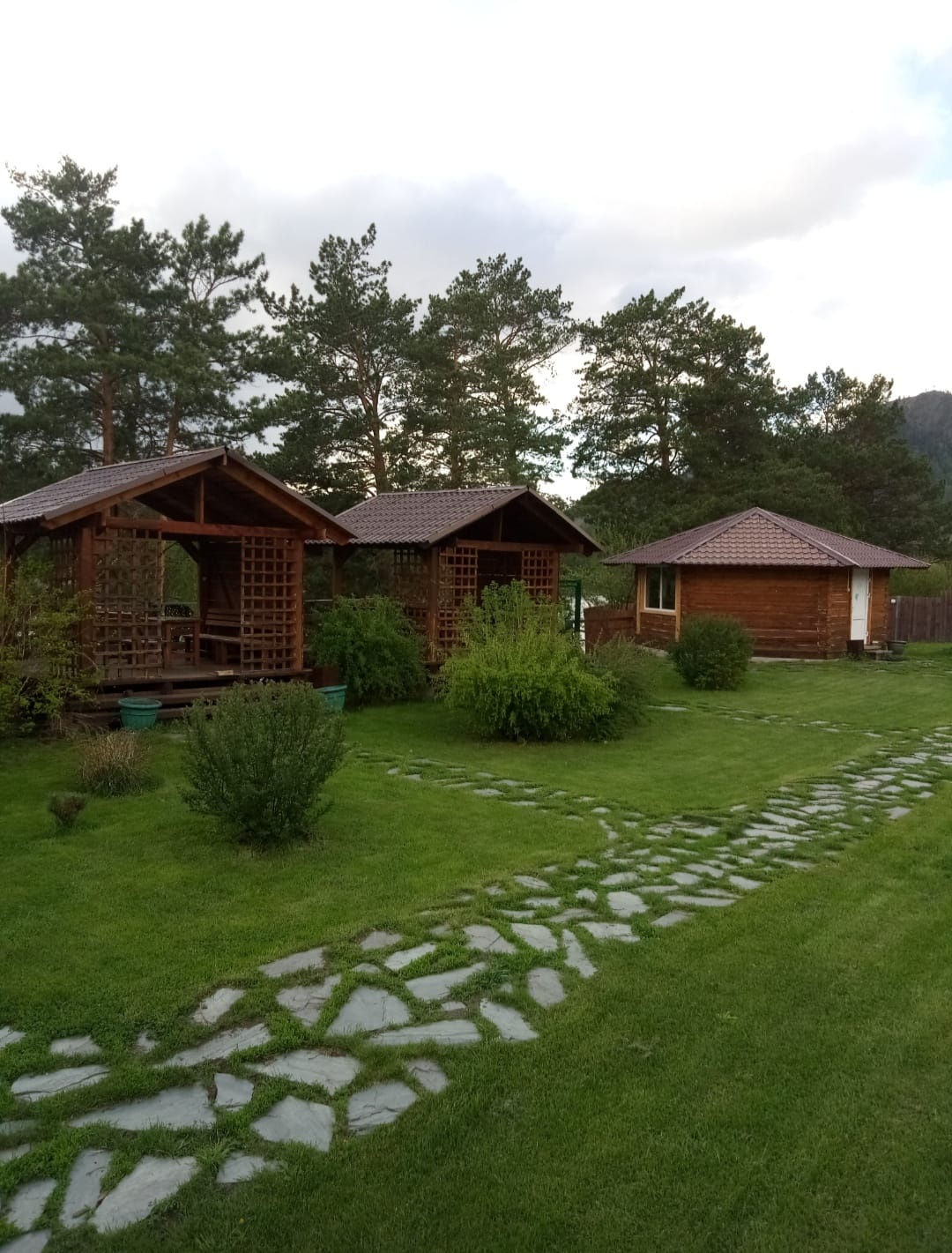 Феникс - фото 5