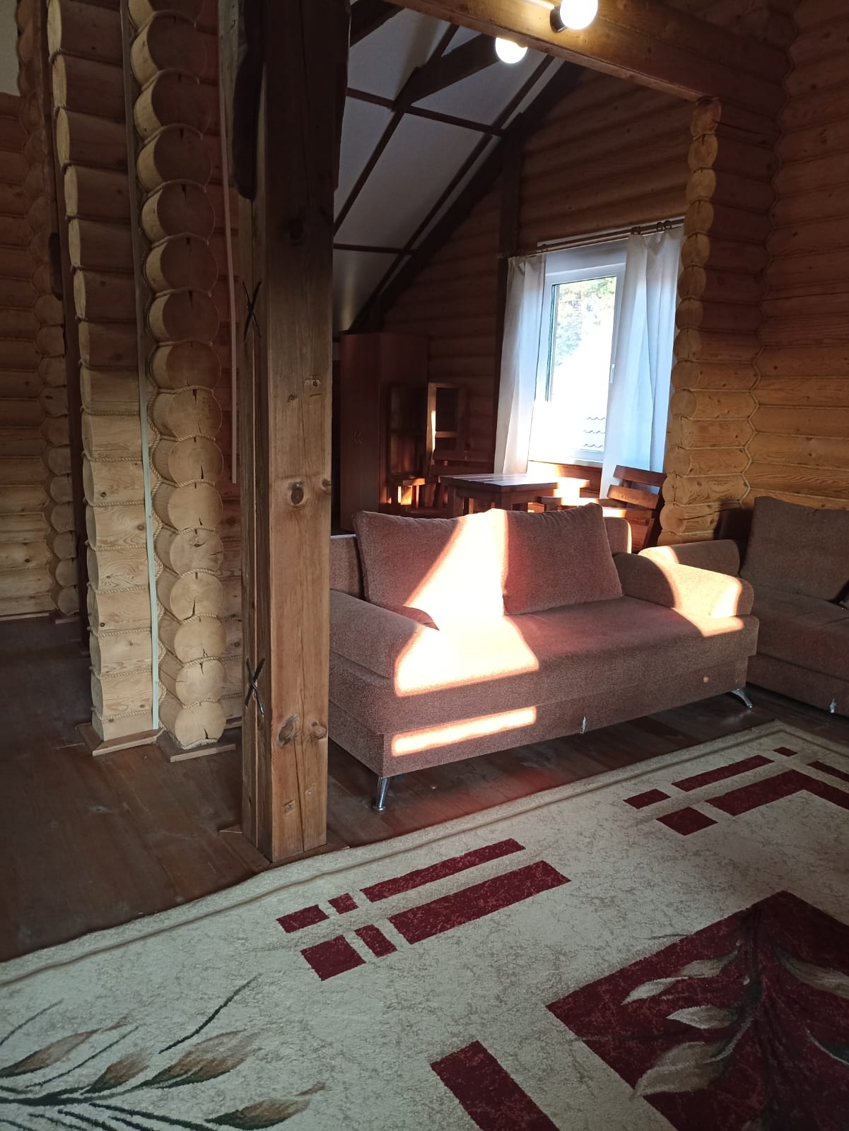 Феникс - фото 9