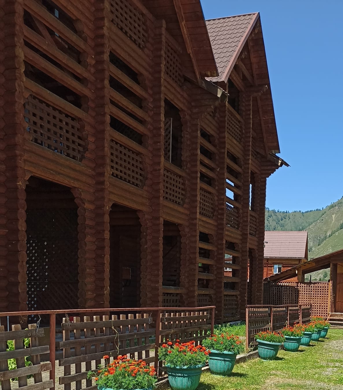 Феникс - фото 14